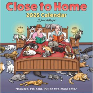 Close To Home Desk Calendar 2025