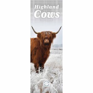 Highland Cows Slim Calendar 2025