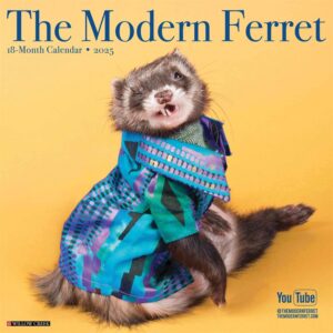 The Modern Ferret Calendar 2025
